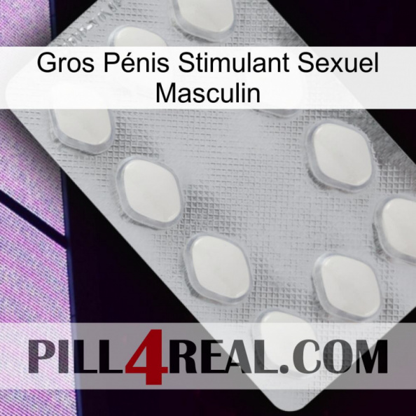 Gros Pénis Stimulant Sexuel Masculin 16